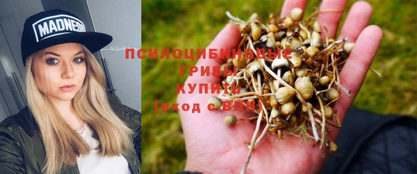 ECSTASY Арсеньев